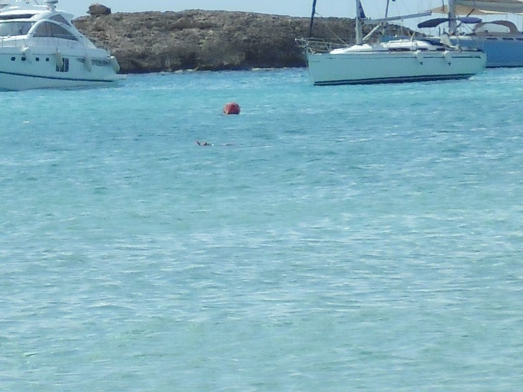Image cimg0227.jpg