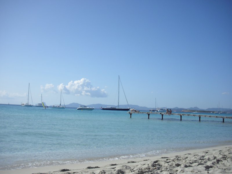 Image cimg0228.jpg