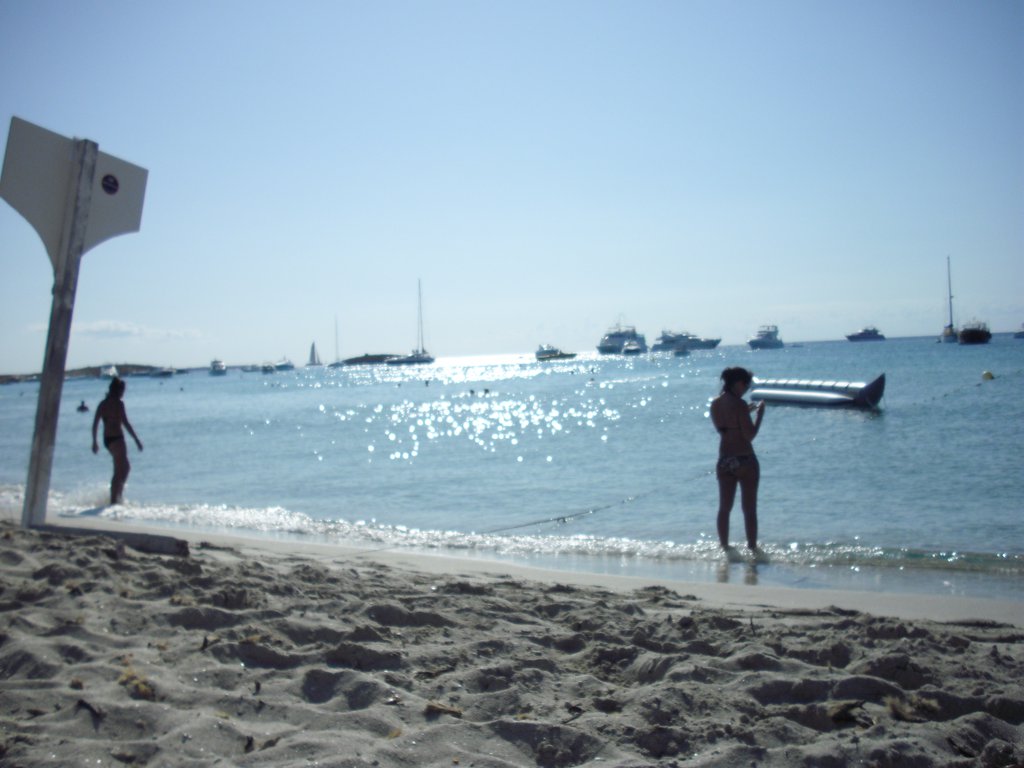 Image cimg0229.jpg