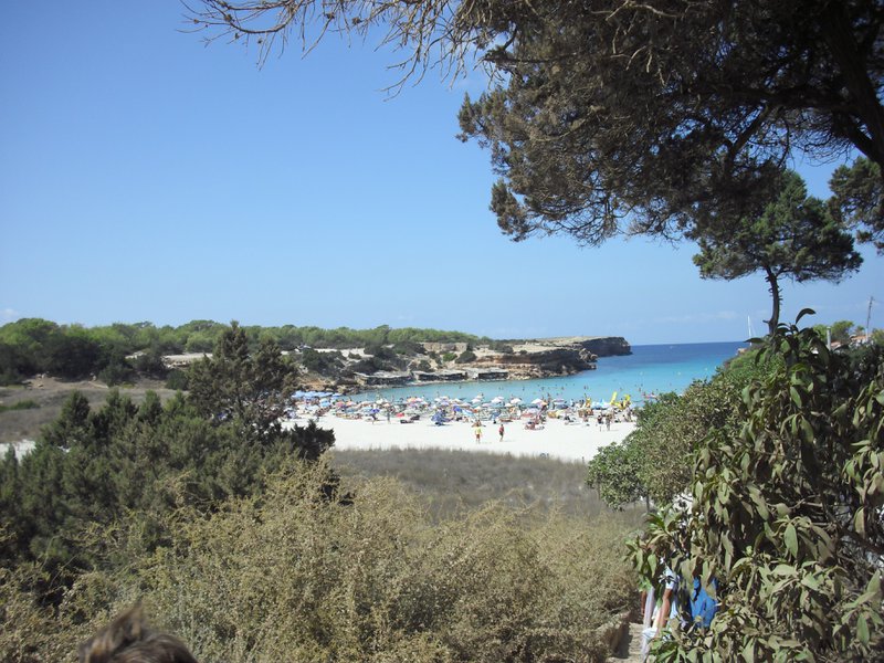 Image cimg0231.jpg