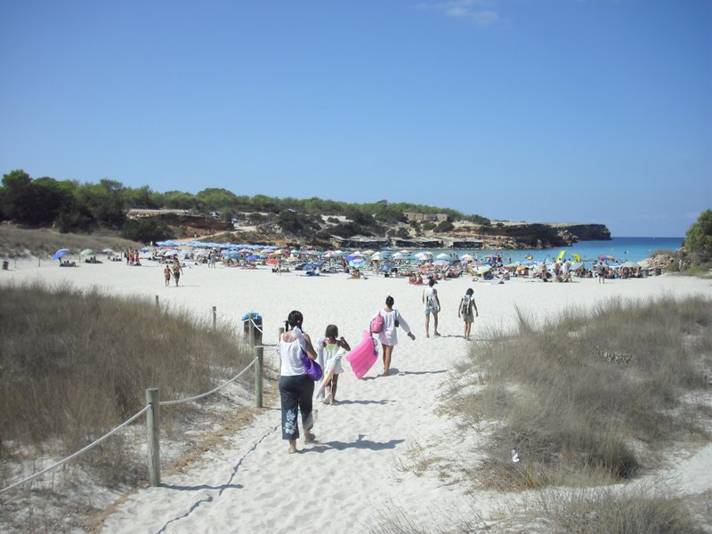 Image cimg0233.jpg