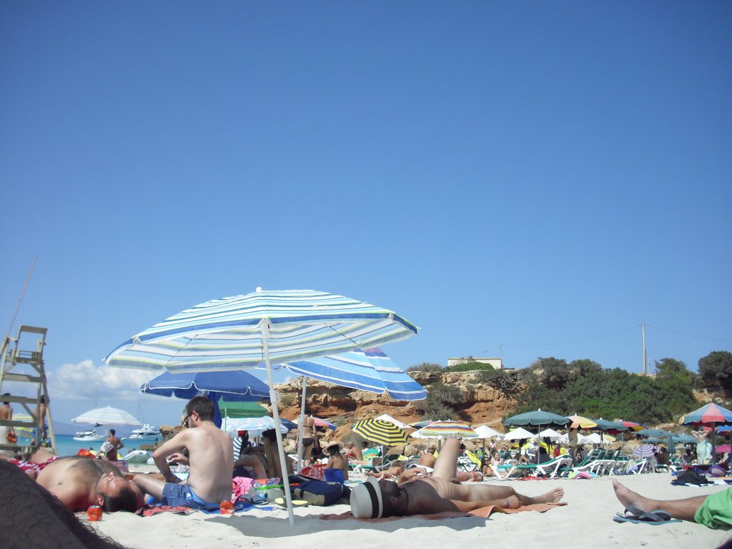 Image cimg0236.jpg