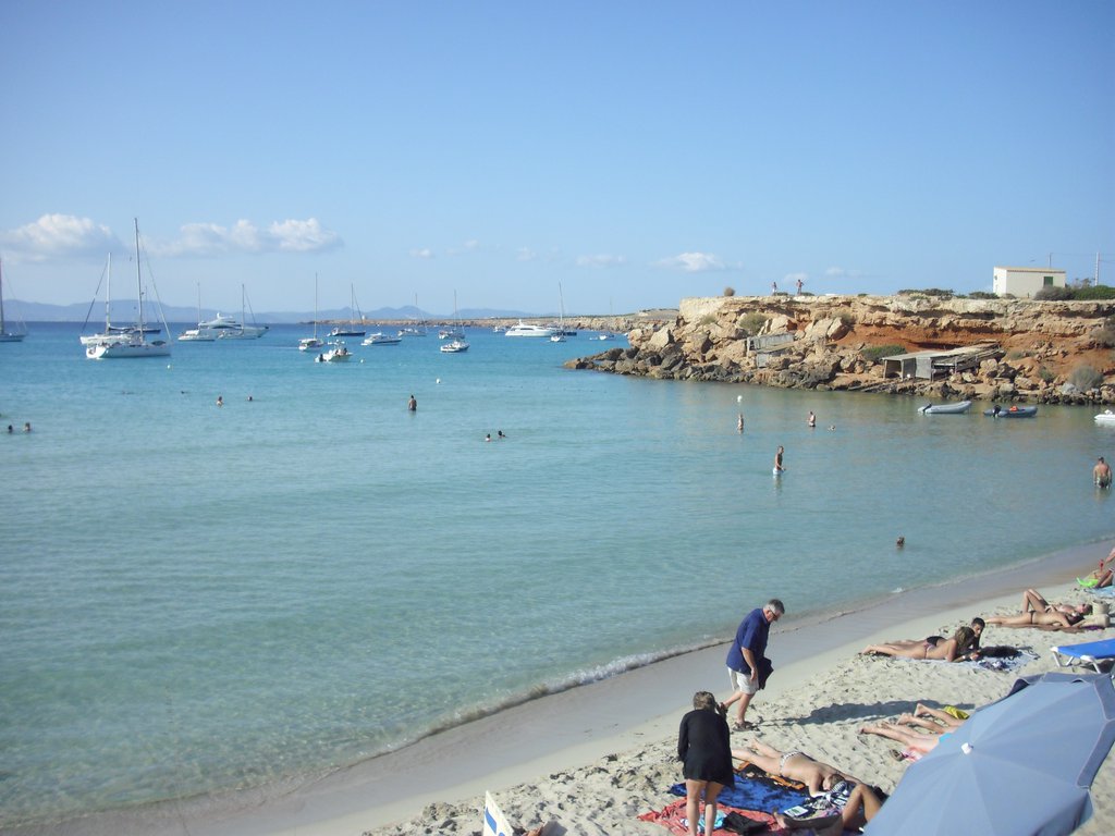 Image cimg0243.jpg