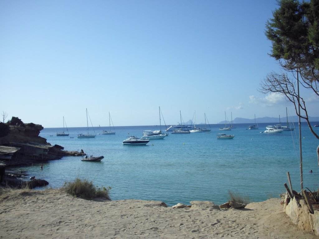 Image cimg0245.jpg