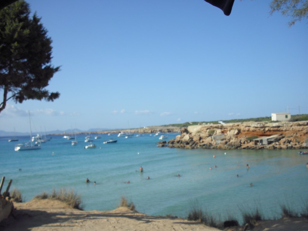 Image cimg0247.jpg