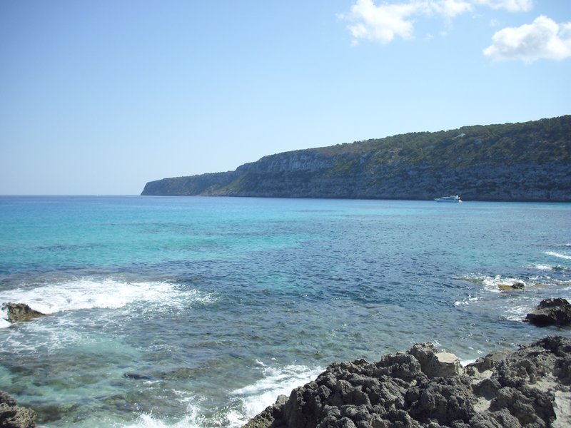 Image cimg0259.jpg