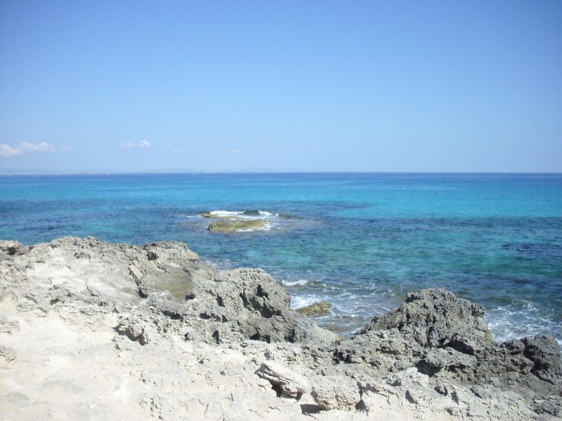 Image cimg0260.jpg