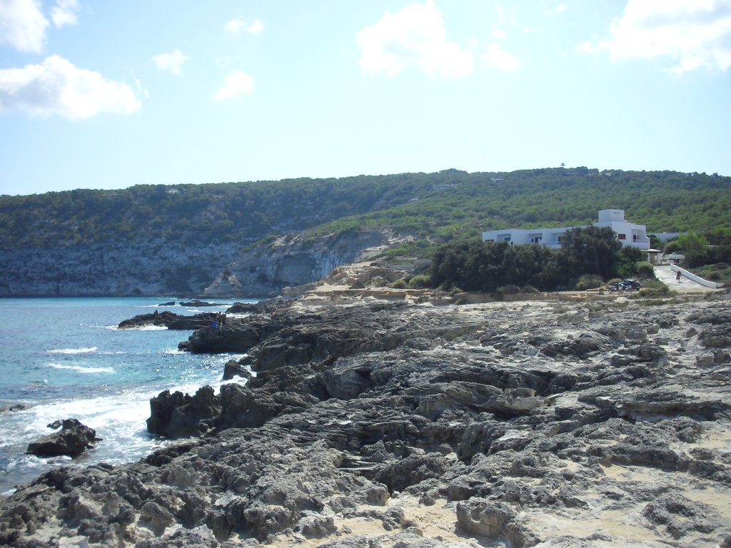 Image cimg0261.jpg