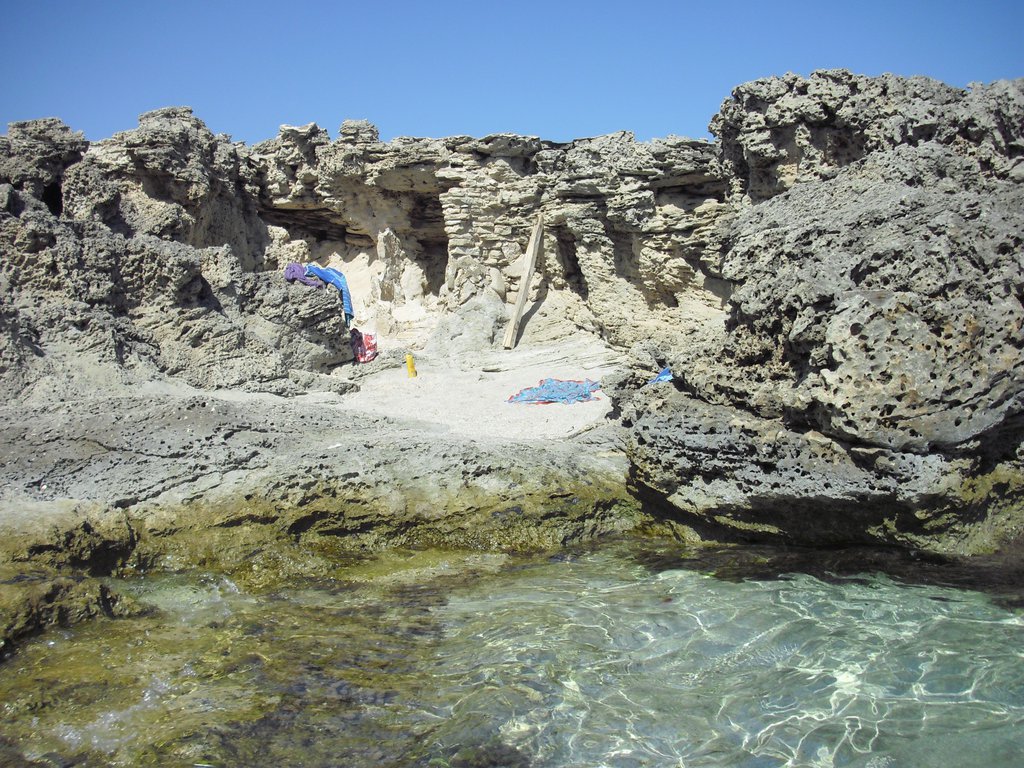 Image cimg0269.jpg