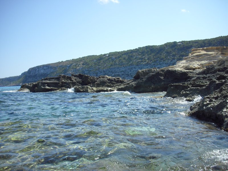 Image cimg0273.jpg