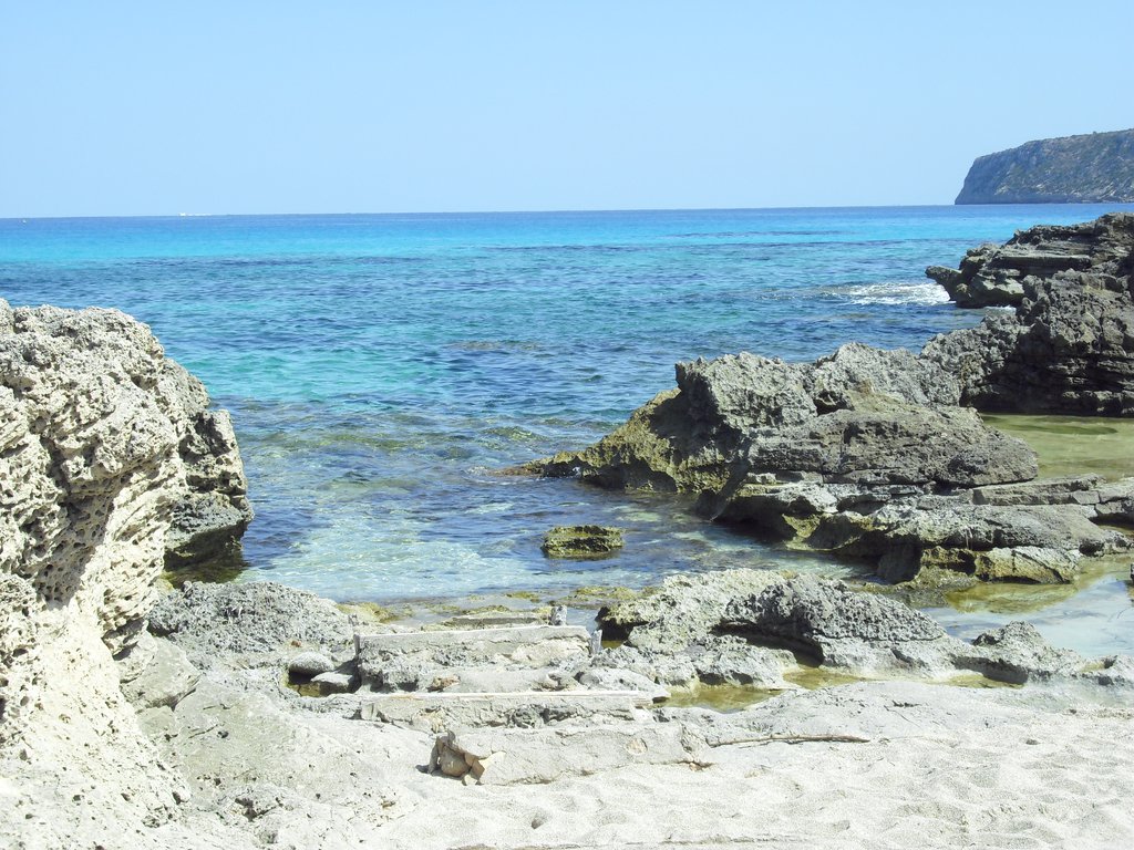 Image cimg0276.jpg