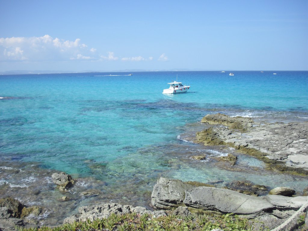 Image cimg0280.jpg