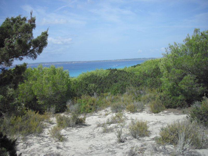 Image cimg0295.jpg