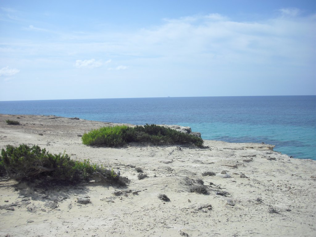 Image cimg0297.jpg
