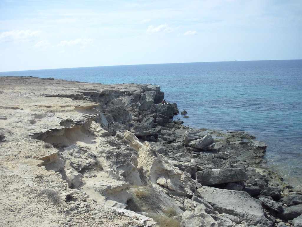 Image cimg0299.jpg