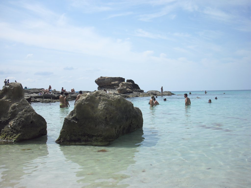 Image cimg0313.jpg