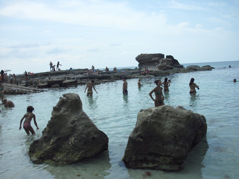 Image cimg0317.jpg