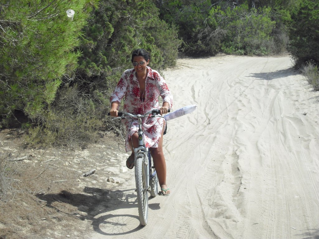Image cimg0319.jpg