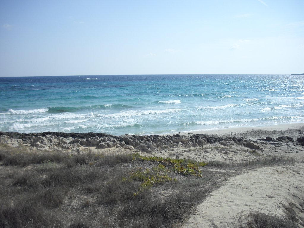 Image cimg0321.jpg