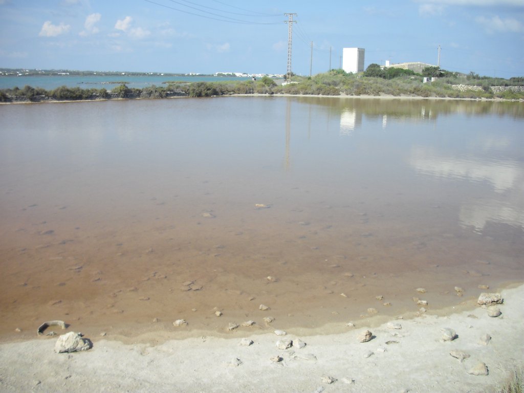 Image cimg0322.jpg