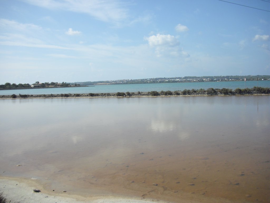 Image cimg0324.jpg
