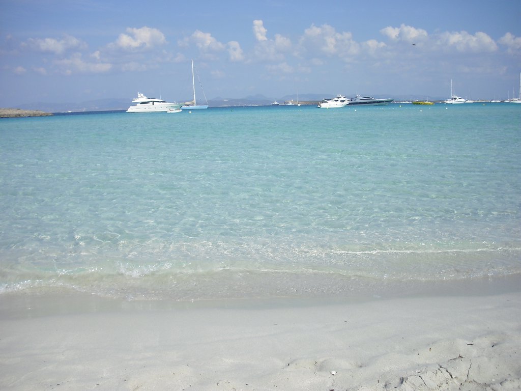 Image cimg0327.jpg