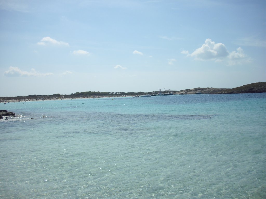 Image cimg0332.jpg