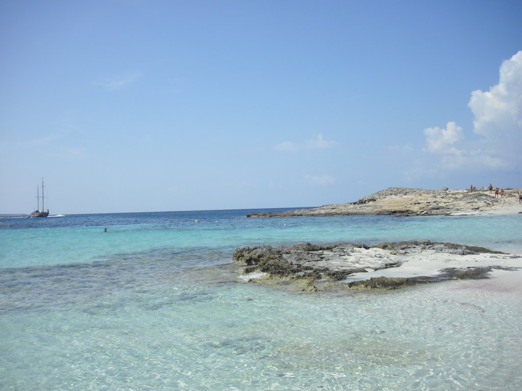 Image cimg0333.jpg