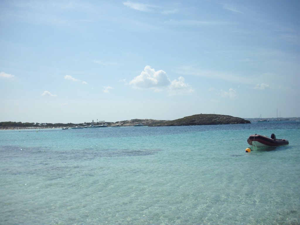 Image cimg0334.jpg