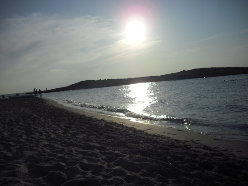 Image cimg0337.jpg