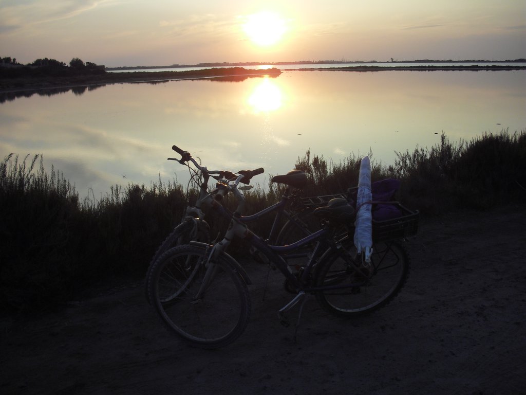 Image cimg0338.jpg