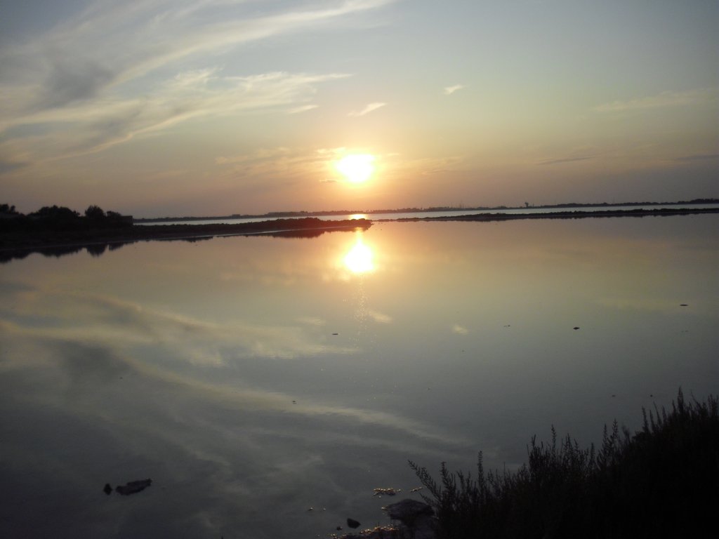 Image cimg0339.jpg