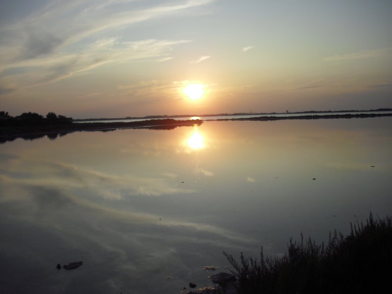 Image cimg0339.jpg