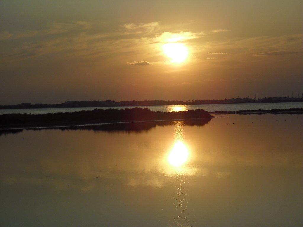 Image cimg0341.jpg