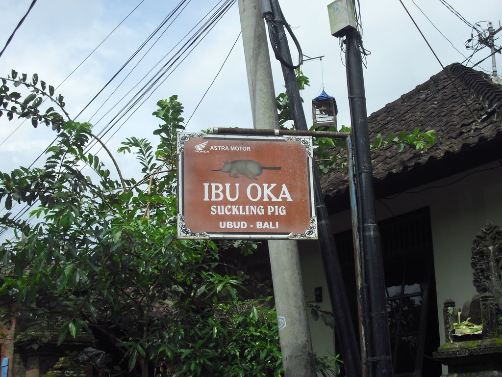 Image CIMG6422.JPG