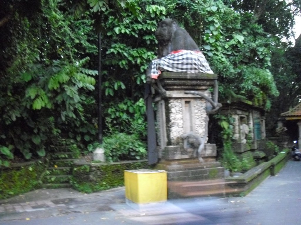 Image CIMG6428.JPG
