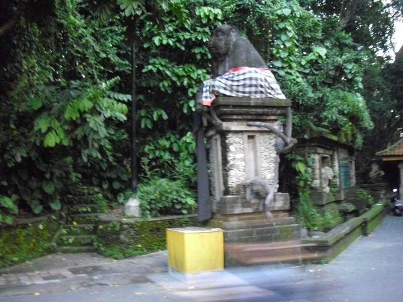 Image CIMG6428.JPG