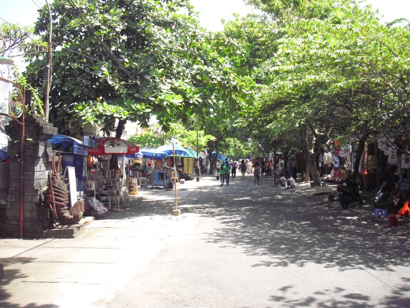 Image CIMG6442.JPG