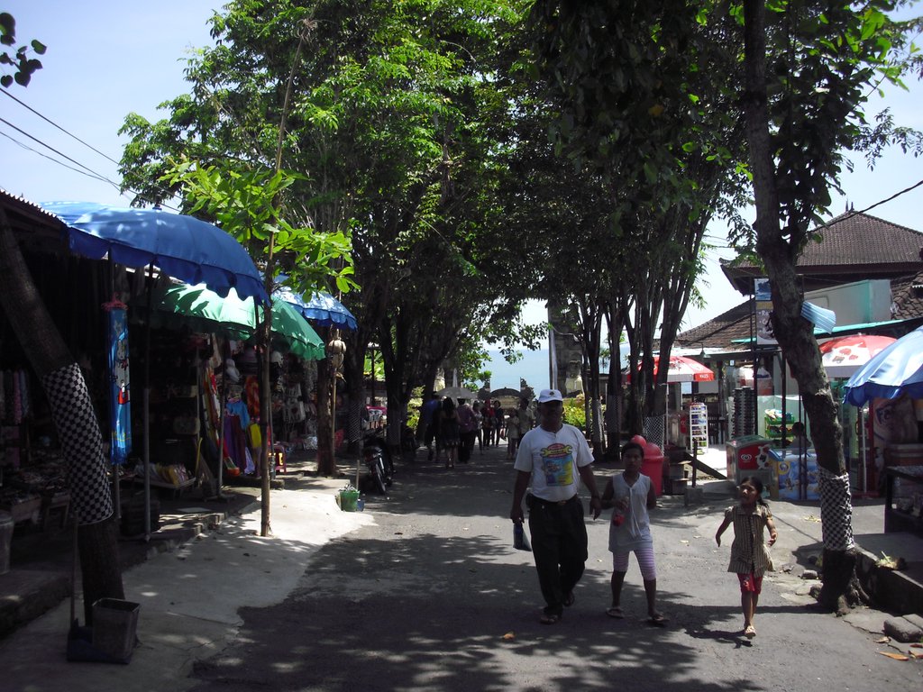 Image CIMG6443.JPG