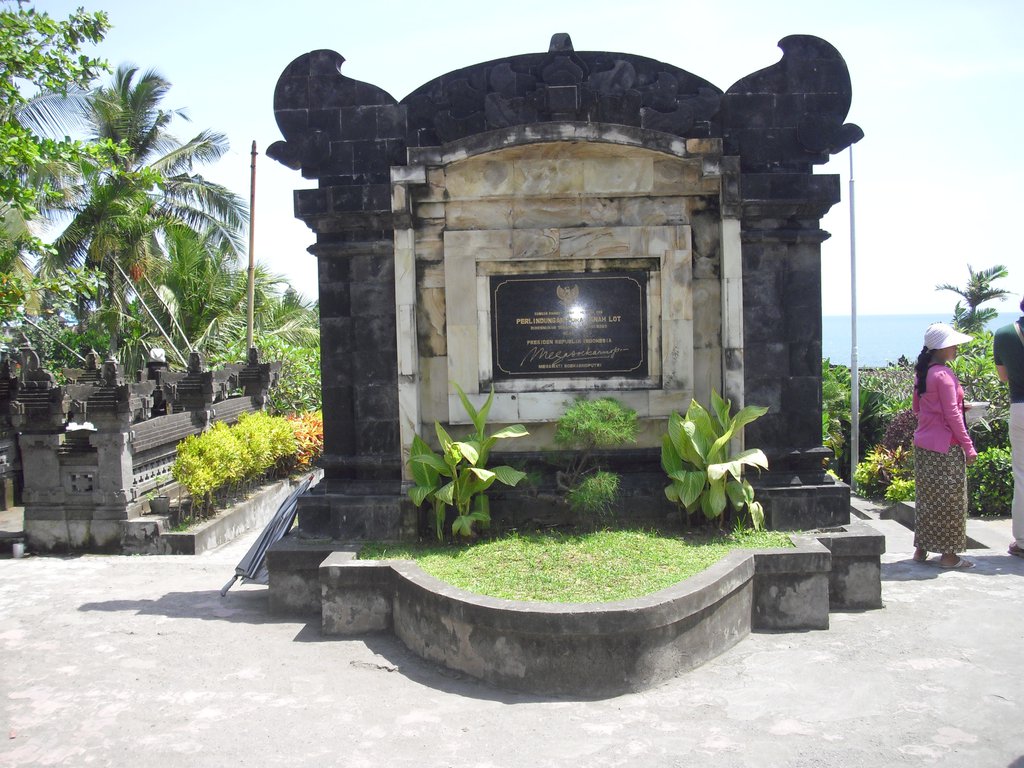 Image CIMG6446.JPG