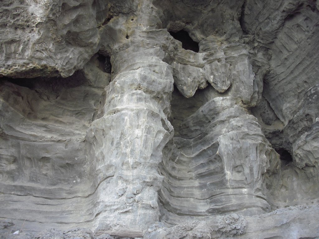 Image CIMG6473.JPG