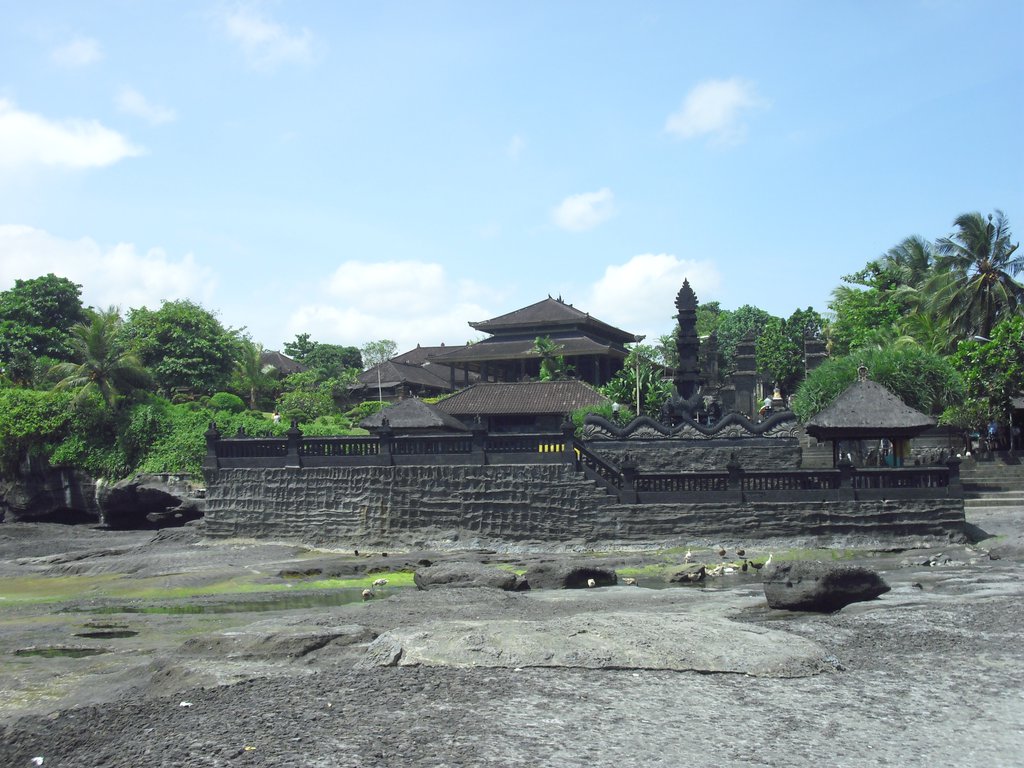 Image CIMG6481.JPG