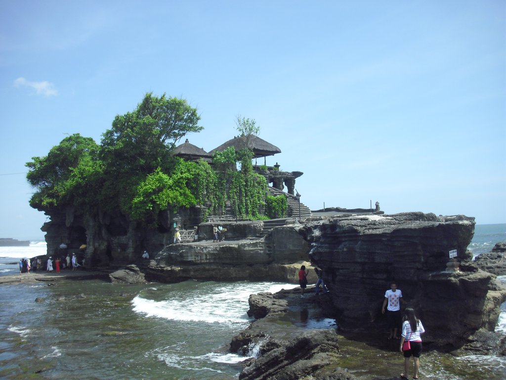 Image CIMG6482.JPG