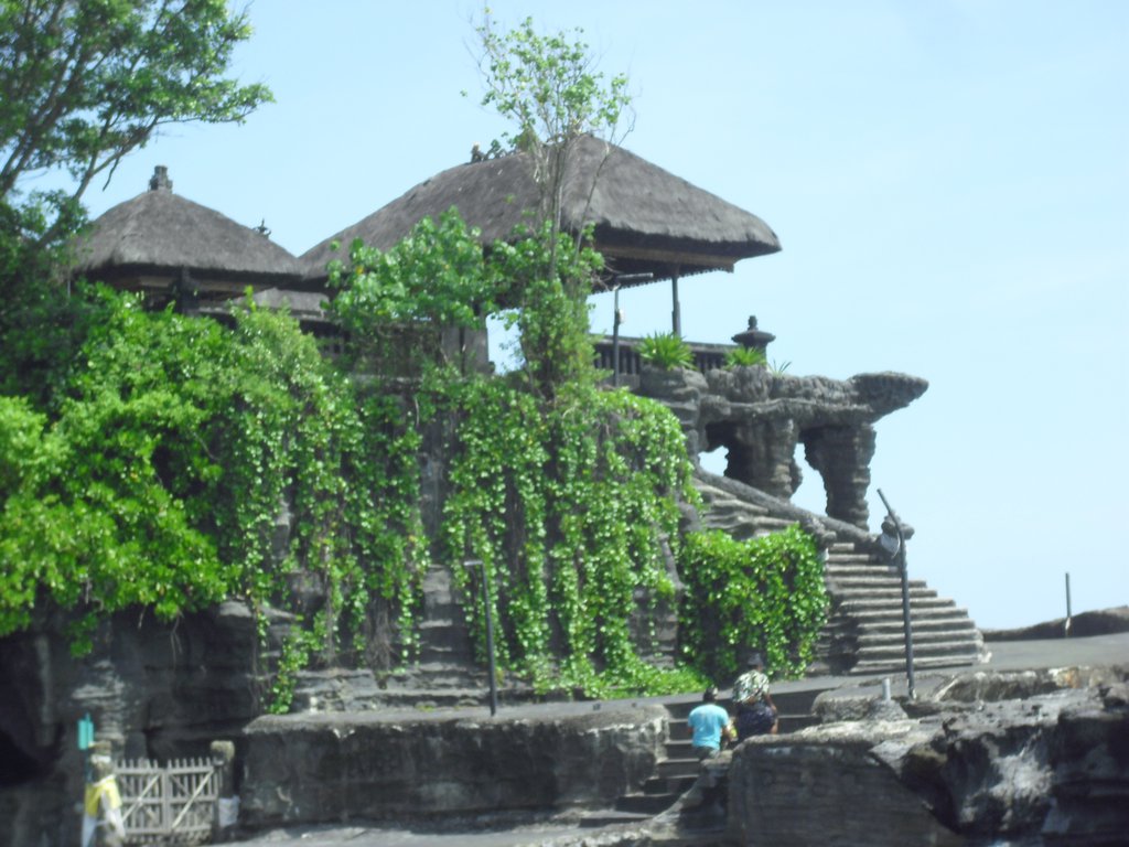 Image CIMG6483.JPG