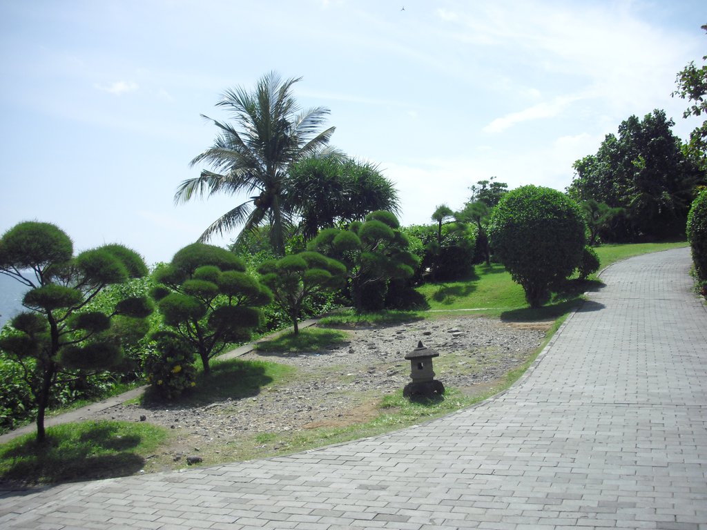 Image CIMG6486.JPG