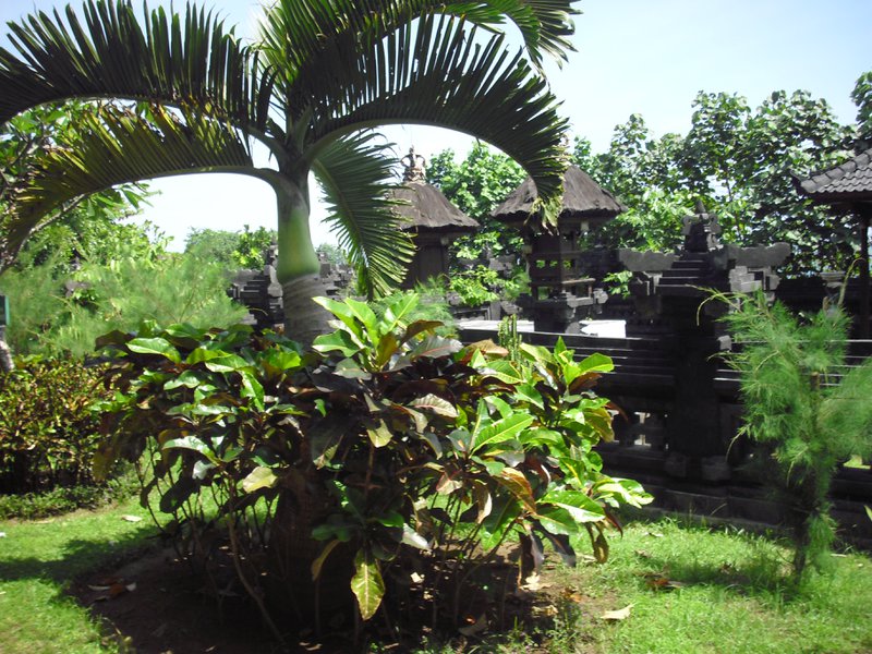 Image CIMG6487.JPG