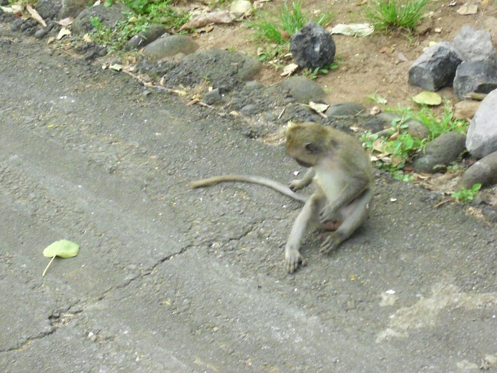 Image CIMG6507.JPG
