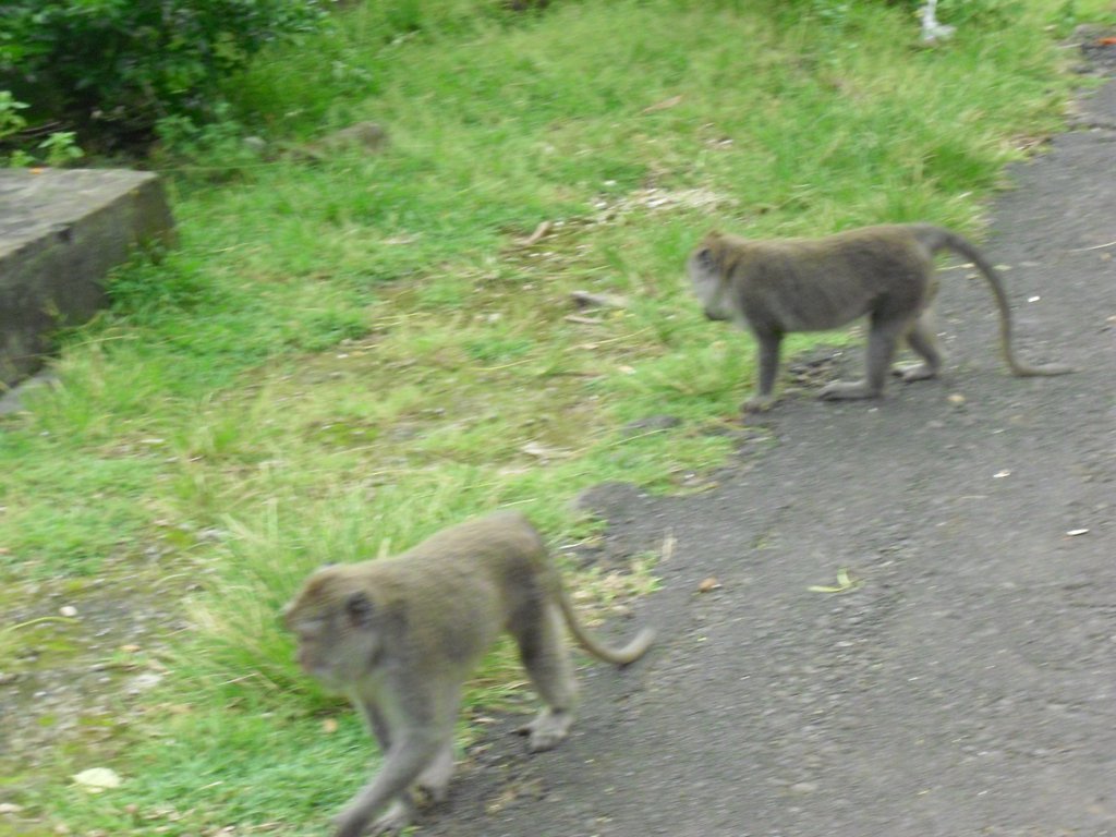 Image CIMG6508.JPG