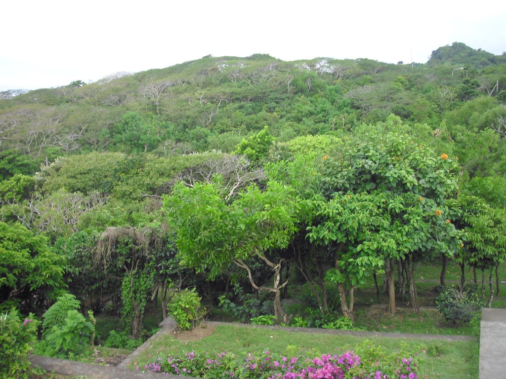 Image CIMG6514.JPG