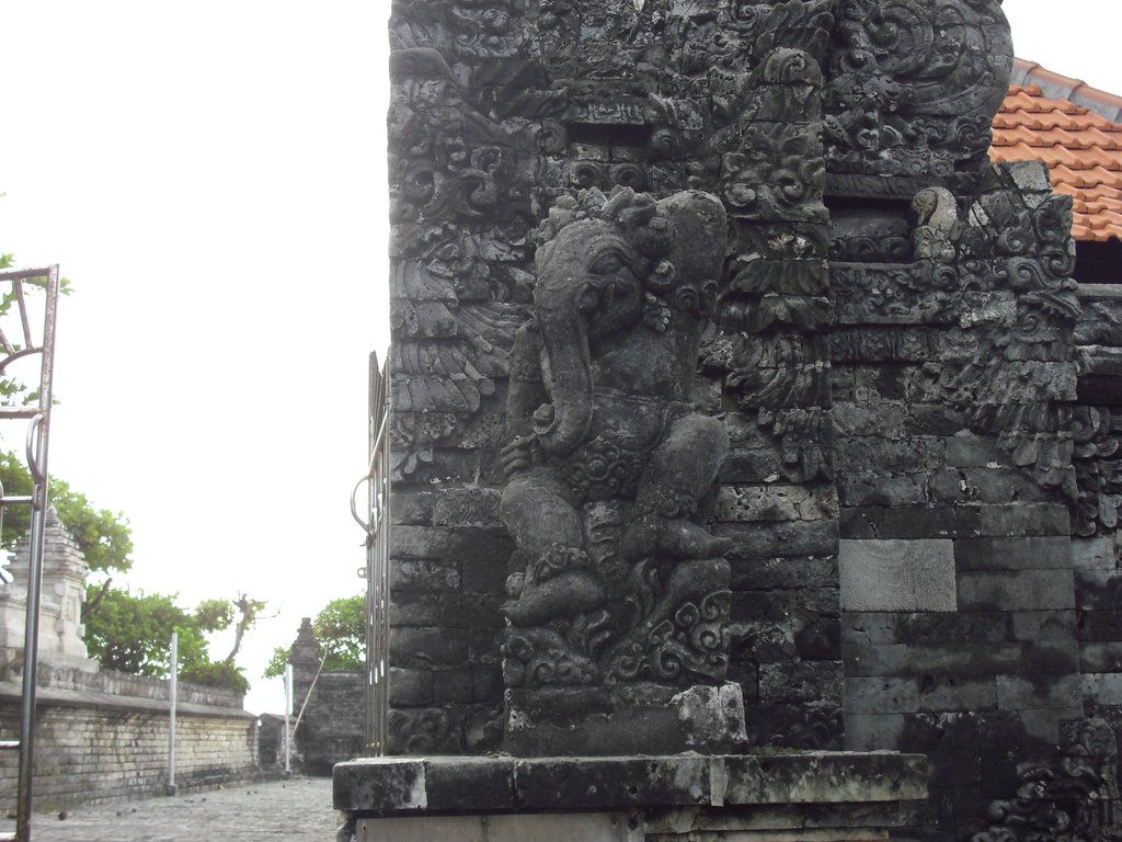 Image CIMG6519.JPG